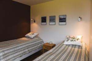 Postel nebo postele na pokoji v ubytování Hotel Latrabjarg