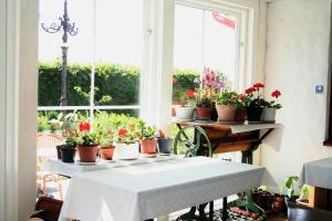 Zahrada ubytování Hoby Gård