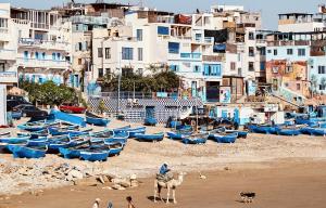 um grupo de barcos em uma praia com um cavalo e pessoas em Appartement meublé près du grand souk Elhad em Agadir