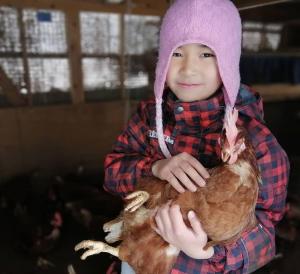 una joven sosteniendo un pollo en un granero en くつき鯖街道 古民家cocco小入谷, en Takashima