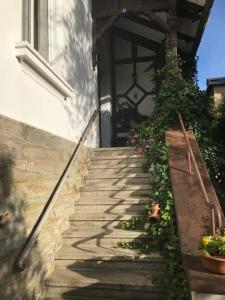 a set of stairs leading to a house with flowers at Ferienwohnung in Villa in Bad Elster