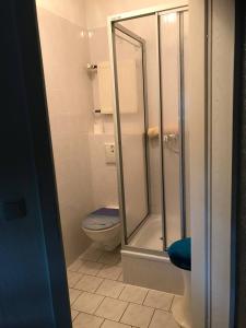 a bathroom with a toilet and a glass shower at Ferienwohnung in Villa in Bad Elster