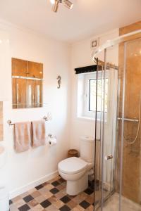 a bathroom with a toilet and a glass shower at An Cala Beag Self Catering apartment on The Waternish Peninsula in Hallin