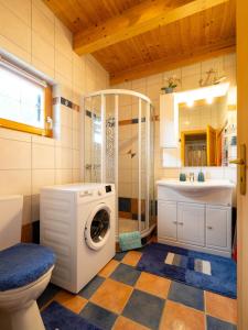 uma casa de banho com uma máquina de lavar roupa e um lavatório em Ferienhaus Rauscher em Sittersdorf