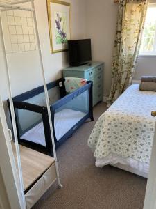 a bedroom with a bunk bed and a tv at Rosedene Regency Annex in Minster
