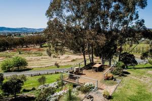 a view of a park with a bench and trees at 'Omaroo' Homestead Escape amongst Rolling Hills in Mudgee