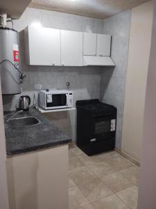 a small kitchen with a sink and a microwave at Unelem Tupungato in Tupungato