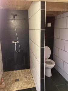 La salle de bains est pourvue d'une douche et de toilettes. dans l'établissement LA CABANE Charmante petite maison 2 chambres à 2,5km plage, à Saint-Georges-dʼOléron