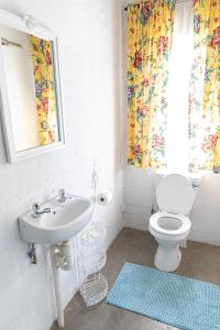 a bathroom with a sink and a toilet and a window at Dragons Landing Guest Farm in Underberg