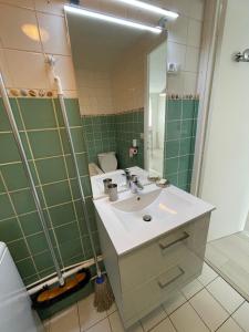 ein Bad mit einem Waschbecken und einem Spiegel in der Unterkunft Charmant Appart Stade Vélodrome/Métro Centre Ville in Marseille