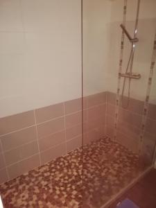baño con ducha y puerta de cristal en Le Grand Feuvrier en Dole