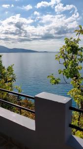 Paesaggio naturale nelle vicinanze dell'affittacamere