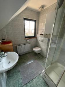 a bathroom with a sink and a toilet and a shower at Chalet ANRA Pohorje in Zgornje Hoče