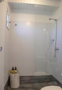 uma casa de banho com uma cabina de duche em vidro e um WC. em ALMAR- Punta Rubia, La Pedrera em La Pedrera