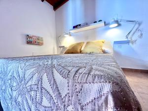 1 dormitorio con 1 cama en una habitación con luces en El Alegato Casa de Invitados en Antigua