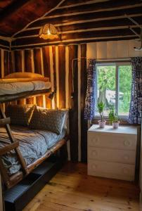Habitación con 2 literas y ventana en Cedar Cabin - North Frontenac Lodge en Ompah