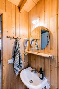W łazience znajduje się umywalka i lustro. w obiekcie Hlíd Cottages w mieście Mývatn