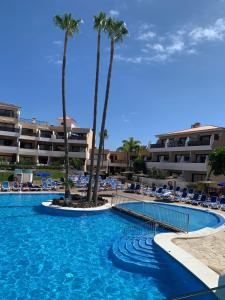 een zwembad met palmbomen in een resort bij Albatros Golf & Sea View in San Miguel de Abona