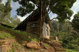 una casa en una colina con un árbol en O'Land Plantation en Kolakambe
