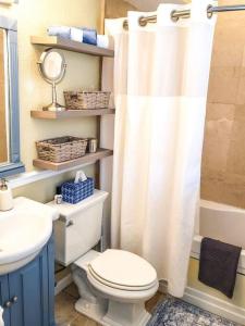 a bathroom with a toilet and a shower curtain at RETRO RETREAT in DTSP - Explore the downtown area in St. Petersburg