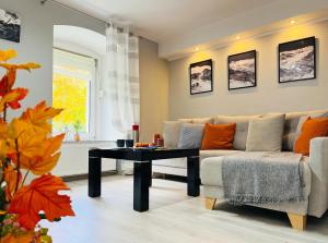 Posezení v ubytování Apartament Dzikowiec