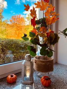 un jarrón con una planta en una mesa junto a una ventana en Apartament Dzikowiec en Boguszów-Gorce