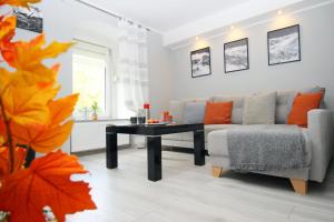 Posezení v ubytování Apartament Dzikowiec