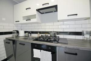 Kuchyň nebo kuchyňský kout v ubytování Apartament Dzikowiec
