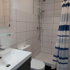 a bathroom with a shower and a toilet and a sink at Studio proche plages / En couple ou avec enfants in Bénodet