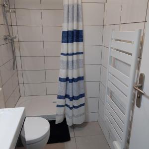 a bathroom with a shower curtain and a toilet at Studio proche plages / En couple ou avec enfants in Bénodet