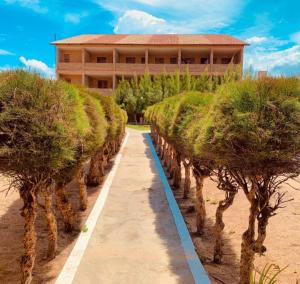 una fila de árboles frente a un edificio en Hotel Costa Atlantico en Areia Branca