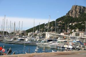 Un montón de barcos están atracados en un puerto deportivo. en Primera línea y vistas al mar con piscina, en L'Estartit
