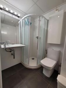 a bathroom with a shower and a toilet and a sink at Ático dúplex zona Juan de Borbón in Murcia