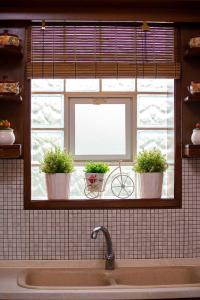 a window with three potted plants in a kitchen at Villa Evdokia in Limenaria