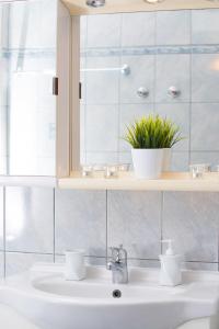 a bathroom sink with a plant on a shelf above it at Villa Evdokia in Limenaria +32 photos