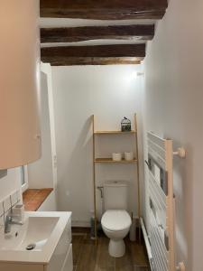 a bathroom with a toilet and a sink at Studio Manhattan WIFI Plein de charme in Gien