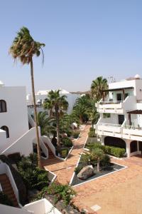 a pathway with palm trees and a building at Bliss -Panoramic views- in Costa Teguise