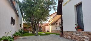 a walkway between two buildings with a tree in the middle at Pensiunea Morii in Cristian