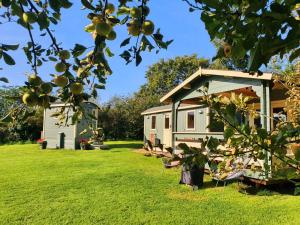 an apple tree in front of a mobile home at Safari Cornwall in Bodmin