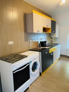 uma cozinha com um fogão e uma máquina de lavar roupa em Central Apartment with Garden in Blaj em Blaj