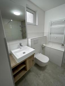 a bathroom with a sink and a toilet and a mirror at Smart Apartment l in Huncovce