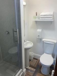e bagno con servizi igienici, lavandino e doccia. di A & B Guest House Cambridge Ltd a Cambridge