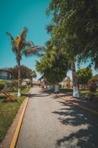 a street with palm trees on the side of a road at EL MANÁ in Huarmey