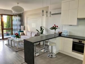 Kuchyňa alebo kuchynka v ubytovaní Apartament Winnica