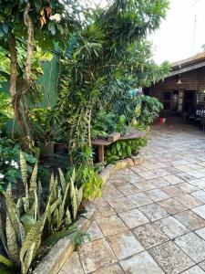 聖若澤迪里巴馬爾的住宿－Jane Farias，花园,种有长凳和树木及植物