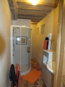a bathroom with a shower and a sink at Gîte de charme Floréales Les Iris in Asnelles