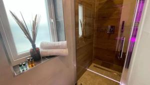 Koupelna v ubytování #5 TGHA Luxury One Bedroom Apartment in Athlone