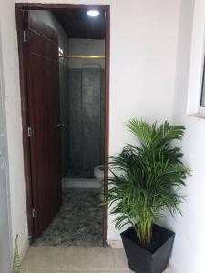 a bathroom with a shower with a toilet and a plant at Donde Bris in Ríohacha
