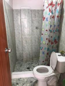 里奧阿查的住宿－Donde Bris，一间带卫生间和淋浴的浴室