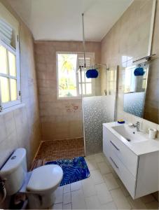 ein Bad mit einem WC, einem Waschbecken und einer Dusche in der Unterkunft Villa Punch Alizés 28, Route de la colline 97160 Le Moule in Le Moule